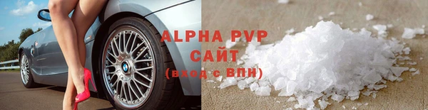 индика Аркадак