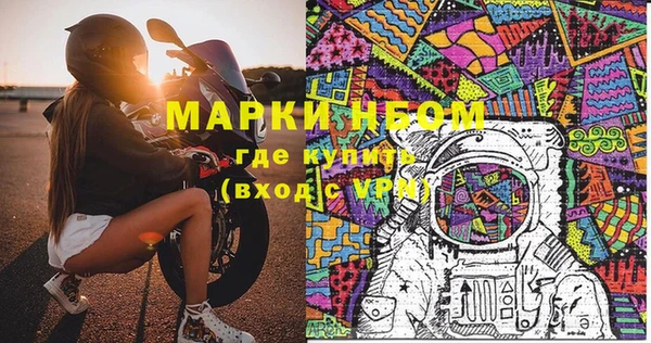 индика Аркадак