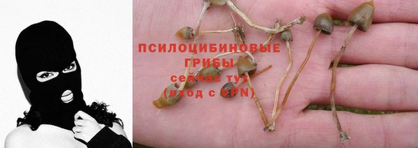 apvp Арсеньев