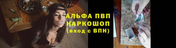 индика Аркадак