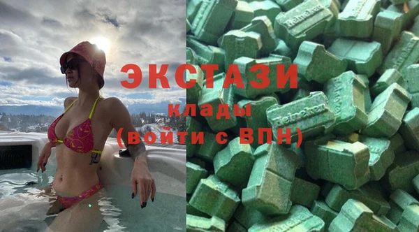 индика Аркадак