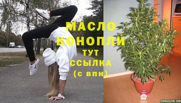 индика Аркадак