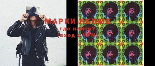индика Аркадак