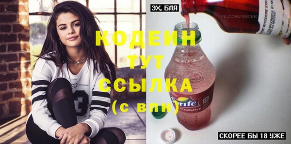 индика Аркадак